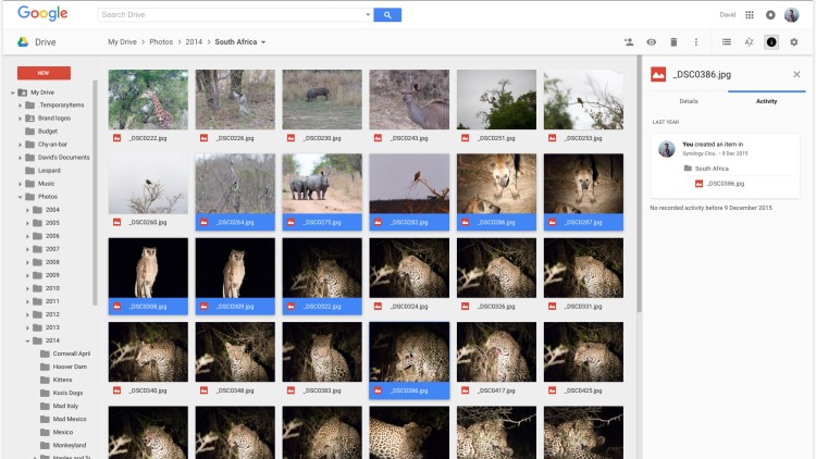You can find all the photos stored in your Google Drive account.
